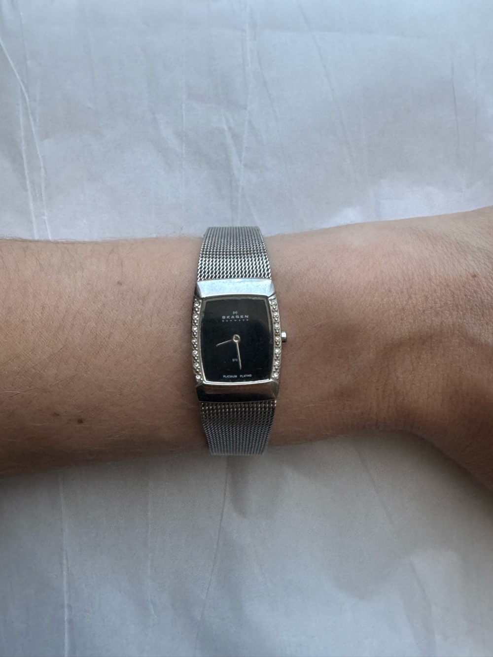 Skagen Denmark Platinum Plated Crystal Accent Mesh Watch